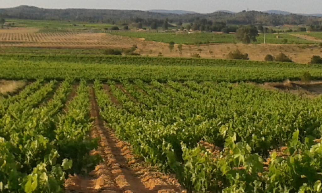 Casas de Cuadra Pension Isla - Couples Only מראה חיצוני תמונה